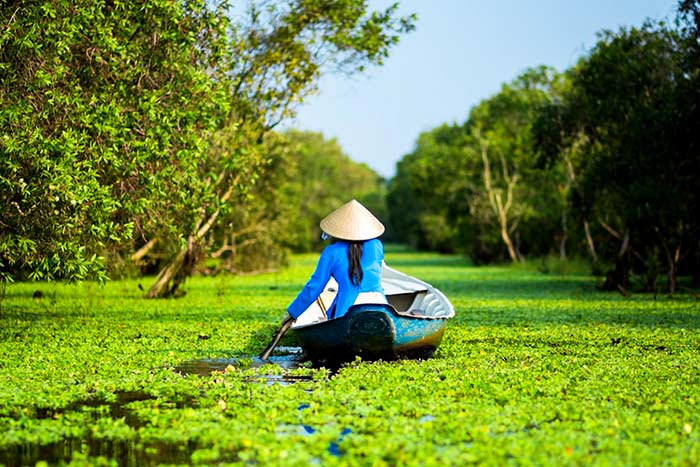 what to visit in chau doc and surrounding boat ride in tra su forest
